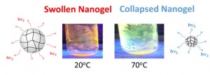 Nanogel T-responsive